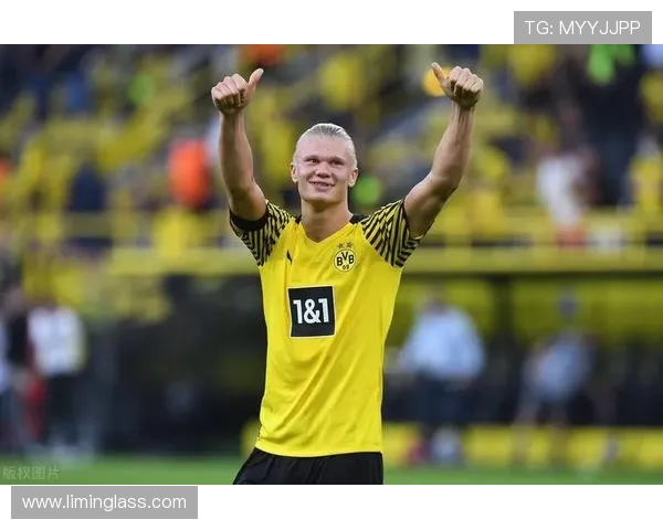 哈兰德本赛季欧冠金靴争夺中表现稳健