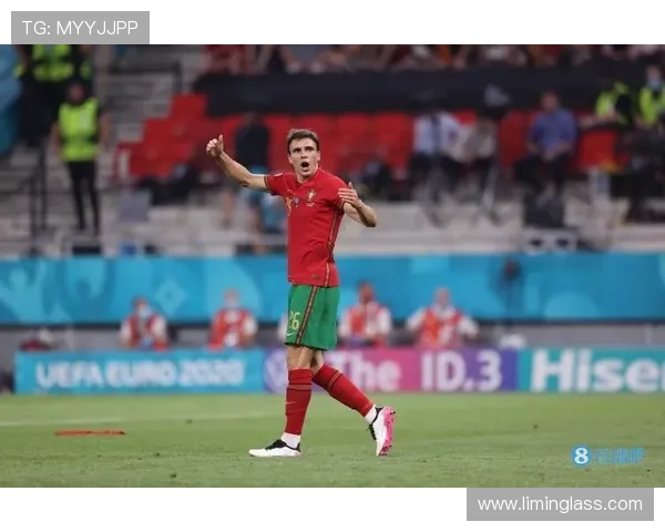 帕利尼亚：从破坏型后腰到稳定出球点的角色演变分析